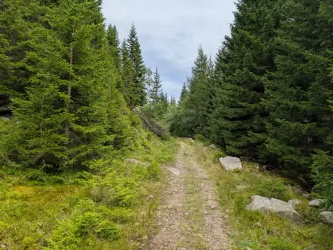 Občanská letní škola 2026 v Krkonoších